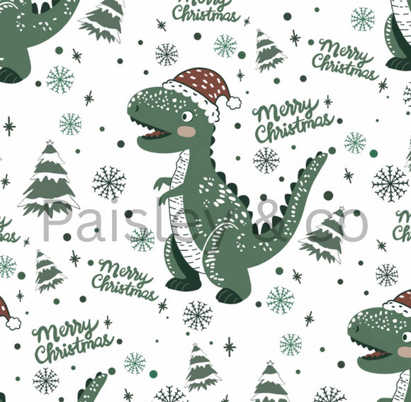Dino xmas blanket